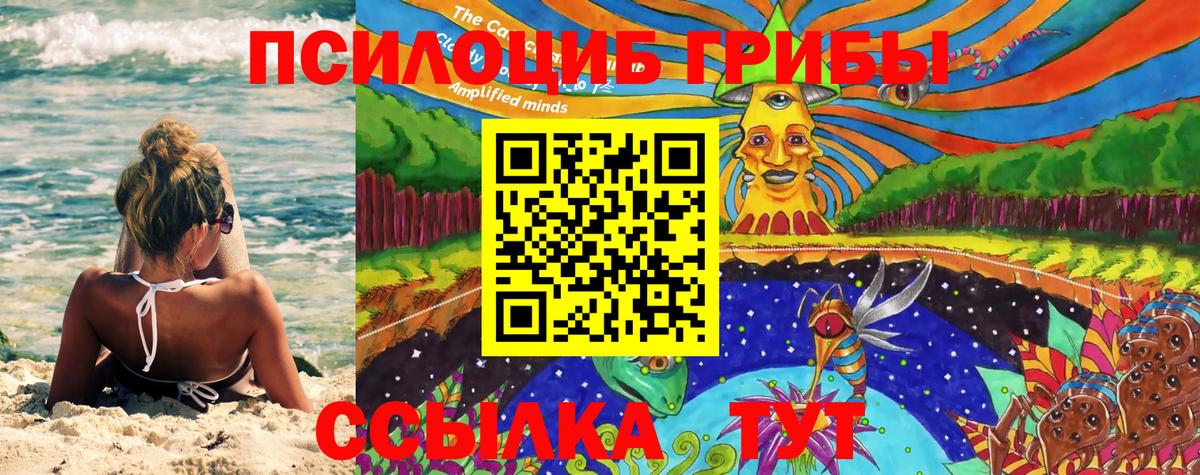 Дзержинский  Галлюциногенные грибы Magic Shrooms  Вход с VPN  Галлюциногенные грибы Psilocybine cubensis 