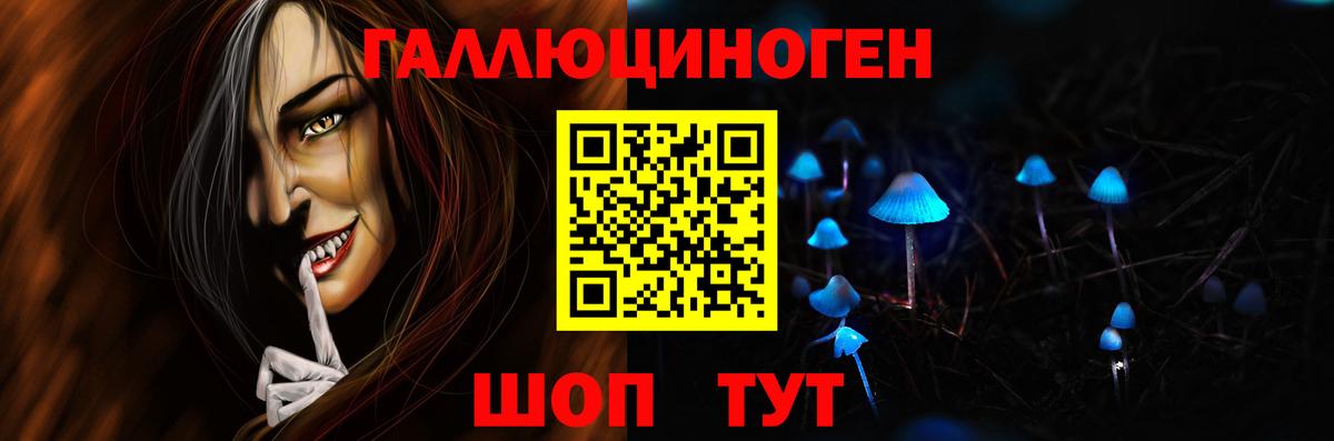 Псилоцибиновые грибы Psilocybe Дзержинский